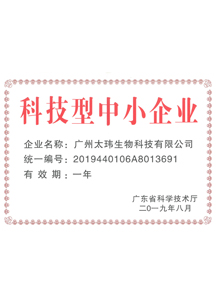 榮譽(yù)證書01